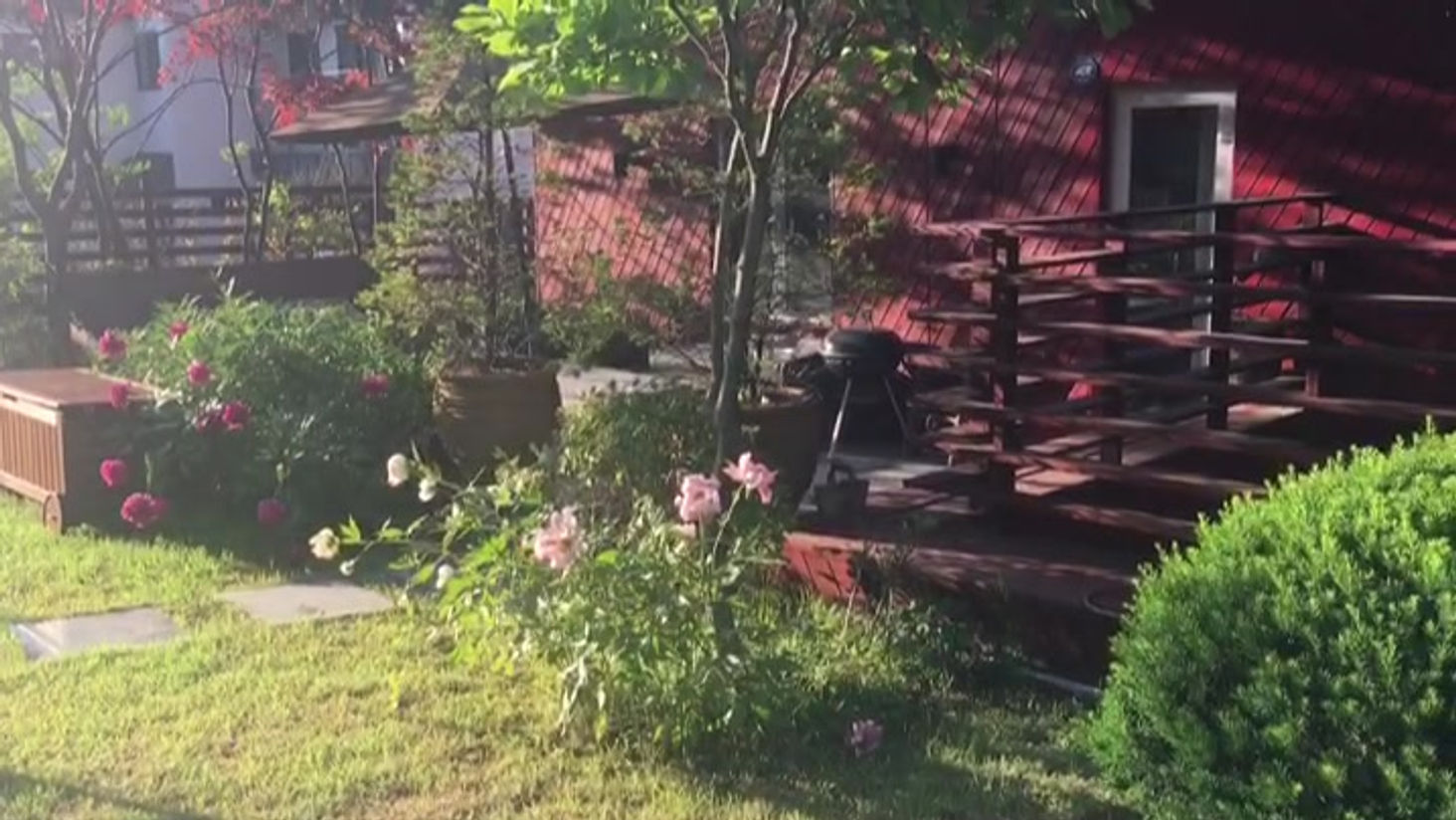 몽마's Garden
